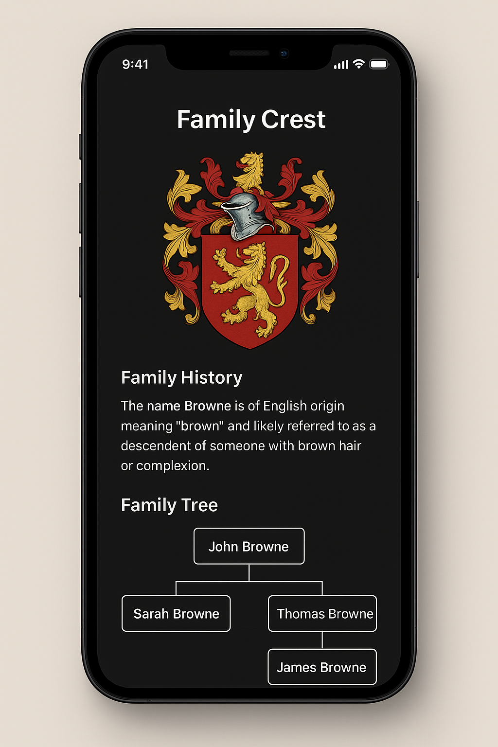 Signet Rings | Smart Ring for Family Crest | Ceramic Black Ring