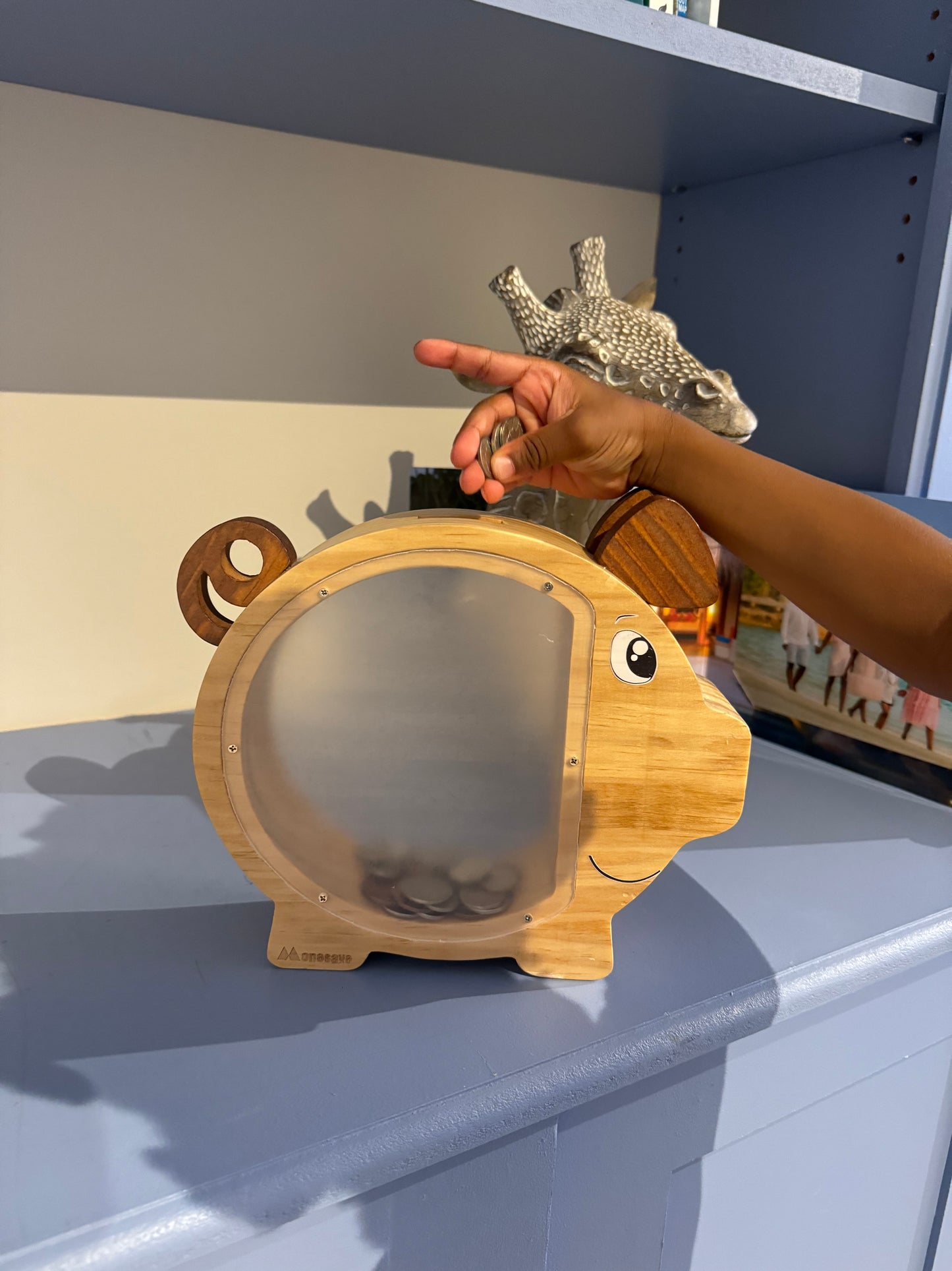 Wooden Piggy Banks for Kids, Boys and Girls - Transparent Piggy Bank